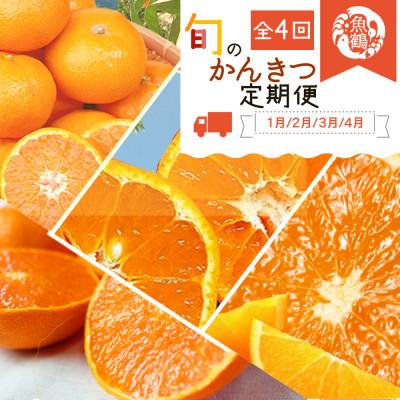 ふるさと納税 美浜町 【発送月固定定期便】紀州和歌山産旬の柑橘セット(みかん・不知火・せとか・清見)全4回