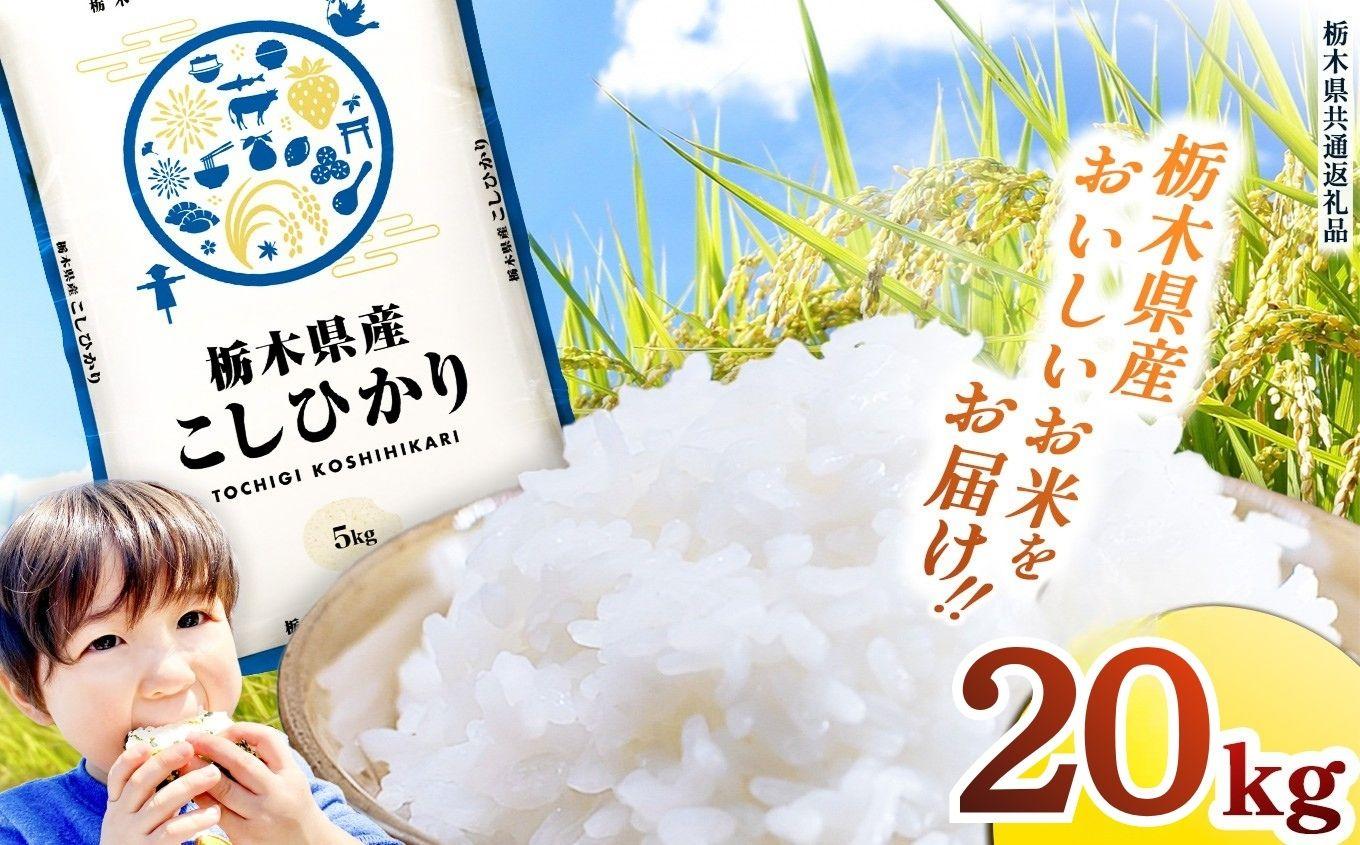 栃木県産 お米 こしひかり 20kg |  栃木県 矢板市 【栃木県共通返礼品】