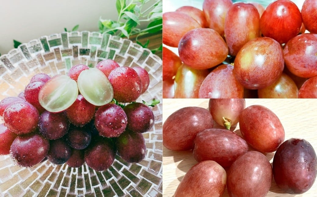  クイーンルージュ®  約1kg ( 2~3房 )