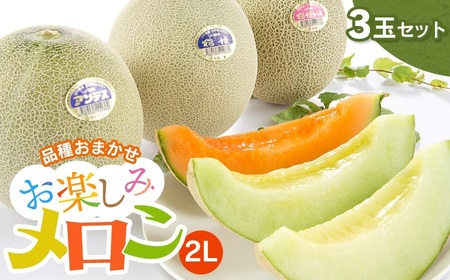 【令和8年産先行予約】 お楽しみメロン 3玉セット 2Lサイズ 山形県庄内産 アンデスメロン・鶴姫メロン・鶴姫レッドメロン の中から3玉お届け 食べ比べ　JA鶴岡 K-836