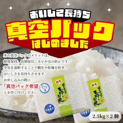 ふるさと納税 菊池市 【熊本県産】 七城のお米 ぴかまる 5kg