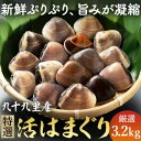 ≪千葉ブランド水産物認定品≫　　　　　　九十九里産活けはまぐり約3.2kg/34～44個【配送不可地域：離島】