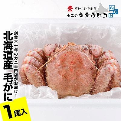 ふるさと納税 根室市 毛がに550g〜650g前後×1尾 B-25027 |  | 01