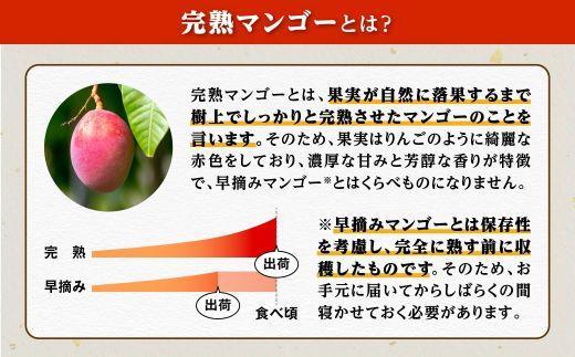 【ご家庭用3-4玉（1.0kg）】大崎完熟マンゴー「郷の恵（さとのめぐみ）」