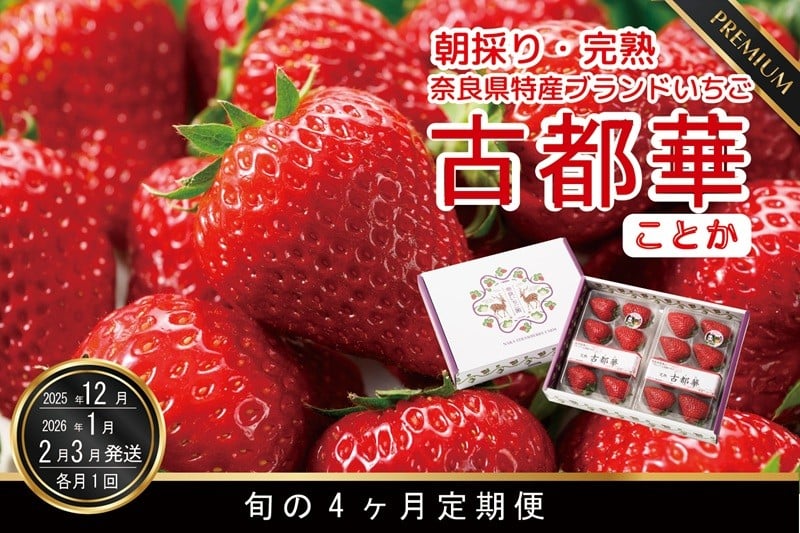 
            定期便 先行予約 数量限定 古都華 【12・1・2・3月発送4ヶ月定期便】奈良県特産 高級ブランドいちご「古都華」旬の４ヶ月定期便 // いちご イチゴ 古都華 フルーツ 果物 旬 限定  ブランド 定期便 贈答用 ギフト 化粧箱
          