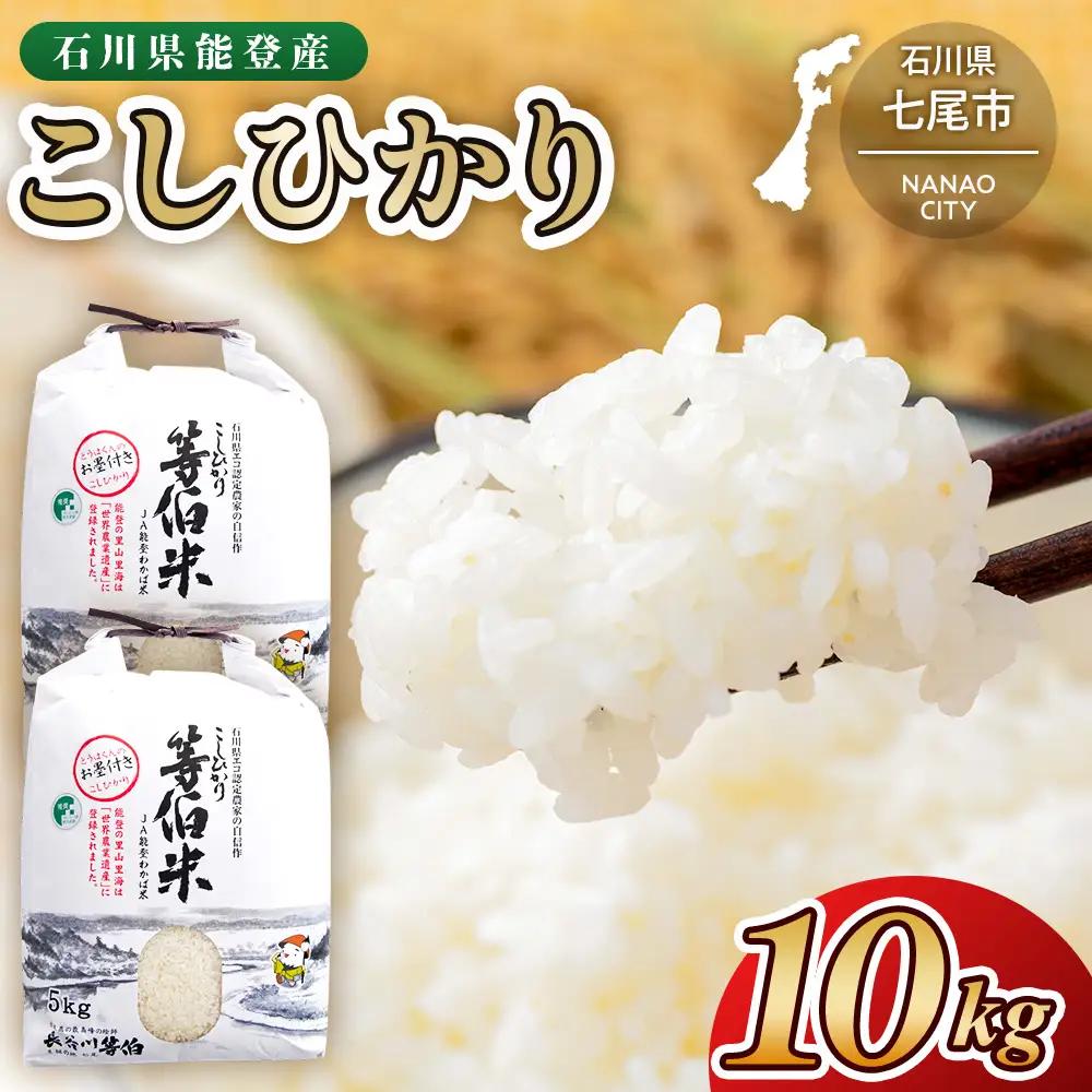 令和8年産 等伯米こしひかり10kg(5kg×2袋) | 米 ※2026年10月～発送