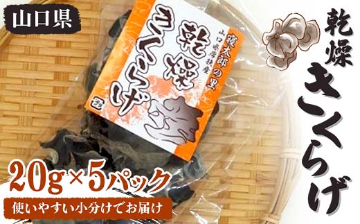 
使いやすい小分けでお届け 乾燥きくらげ
