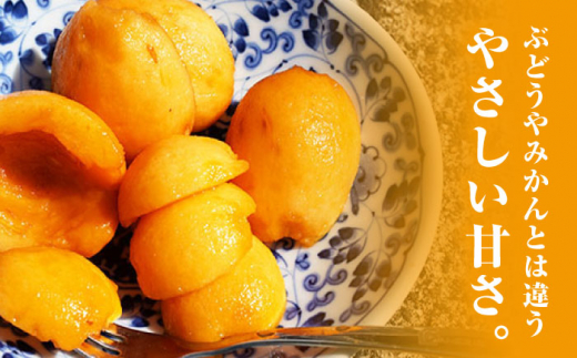 【先行予約】西海市産 びわ （長崎早生） 約1.5kg＜谷添正義＞ [CDM003] 西海市 ビワ びわ 琵琶 果物 フルーツ 