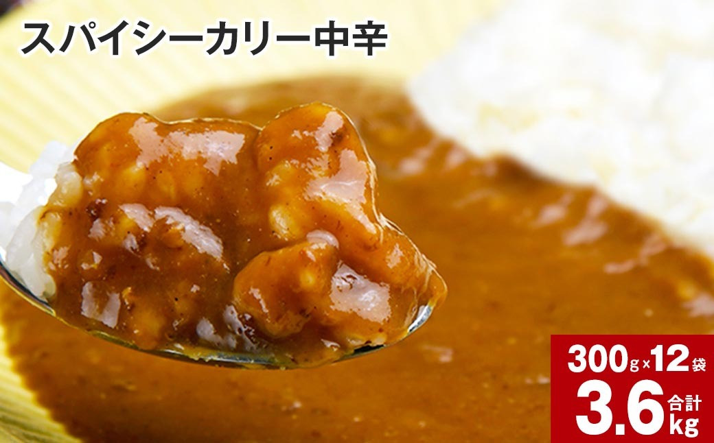 
スパイシーカリー中辛(レトルト) 300g×12袋
