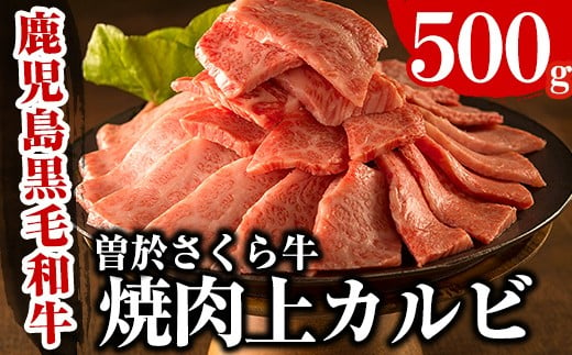 
曽於さくら牛焼肉ギフト(上カルビ500g) 黒毛和牛 上カルビ 焼き肉【福永産業】A16-v01
