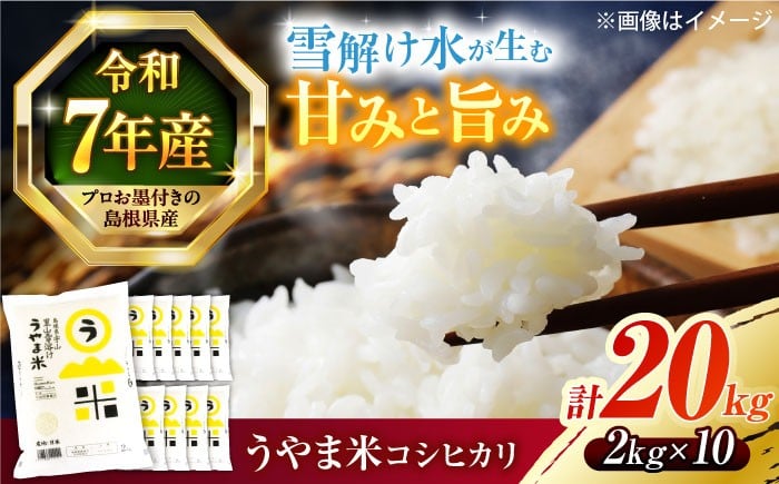 
                  【令和7年産】米 雪解け水で育った 島根県産「うやま米コシヒカリ（雲南市吉田町）」20kg(2kg×10) 島根県松江市/有限会社藤本米穀店 [ALCG011]｜米 おこめ ごはん 人気 おすすめ お米 ご飯 白米 こしひかり ブランド米 20キロ 小分け 便利 おいしい うまい おにぎり 炊き込みご飯 弁当 和食 食卓 10袋 ごはんソムリエ
                