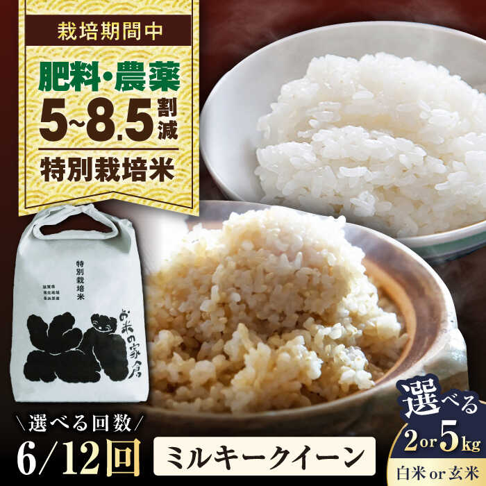 【ふるさと納税】【令和7年産】【選べる精米方法/容量/定期便回数】 特別栽培米 ミルキークイーン 2kg 5kg 白米 玄米 全6回 全12回 滋賀県長浜市/お米の家倉[AQCP023] 米 こめ コメ お米 定期便 国産 家庭用 精米 ご飯 おにぎり 送料無料 人気 おすすめ 炊き込みご飯
