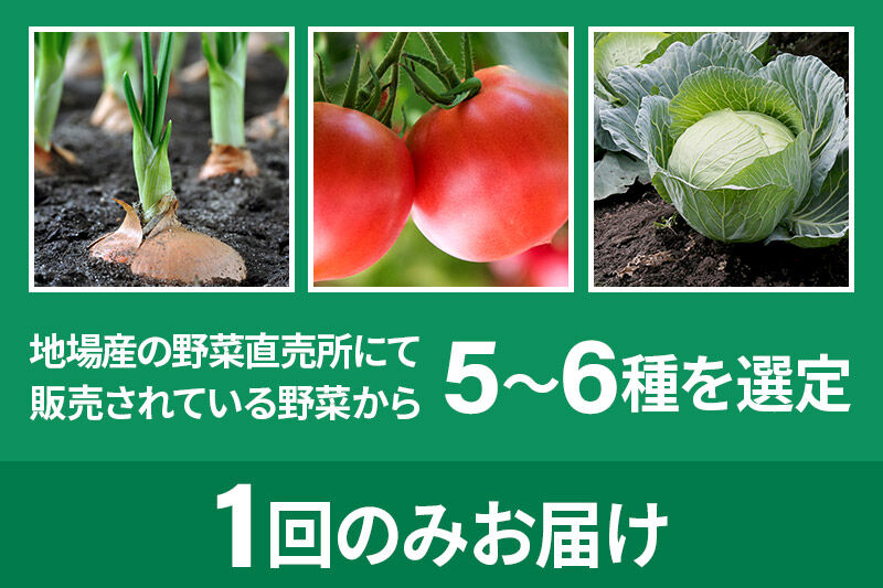 季節のお野菜 尾瀬市場厳選野菜おまかせセット A（5～6種類）詰め合わせ [【野菜セット】お任せ おまかせ 野菜 やさい ヤサイ 詰め合わせ セット]