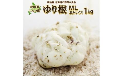 <早期予約>北海道ニセコ町 ゆり根M-L混みサイズ1kg【2024年産】【3200301】