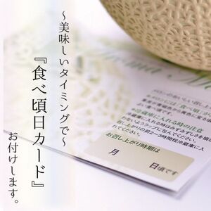 【毎月定期便】アローマメロン1玉(約1.0kg以上/玉) 全3回【配送不可地域：離島・北海道・沖縄県】【4051488】