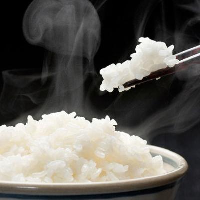 ふるさと納税 旭川市 20kg!　【令和6年産米】Yes!cleanななつぼし5kg×4袋_01308 |  | 02