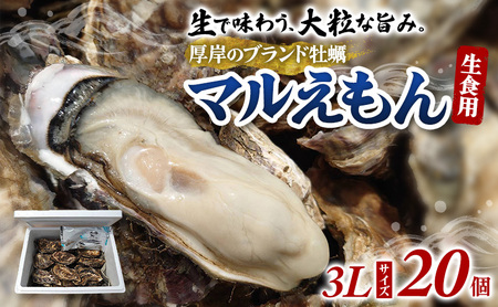 牡蠣 3Lサイズ 20個 生食用 マルえもん 殻付き 北海道厚岸 牡蠣