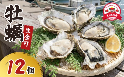 【ナイフと軍手付き】 牡蠣 生食 冷凍 殻付き 牡蠣 1袋 12個入 三陸産 生食可 カキ かき 生食用 カンカン焼き ガンガン焼き 生牡蠣 蒸し牡蠣 カキ 真牡蠣 BBQ 浜焼き バーベキュー 新鮮 海鮮 魚介 国産 取り寄せ グルメ 急速冷凍 プロトン冷凍 岩手 大船渡 岩手県 大船渡市 送料無料