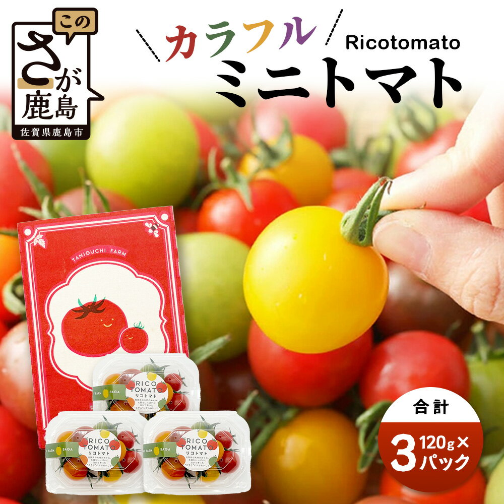 【ふるさと納税】先行予約｜ミニトマト 少量120g×3P【定期便1～4回】｜カラフル ミニトマト｜JGAP認証・佐賀県特別栽培農産物｜有機物100％の土づくり｜農家直送 フルーツトマト ギフト・家庭用【2026年1月より発送】佐賀県 鹿島市 人気 A-211