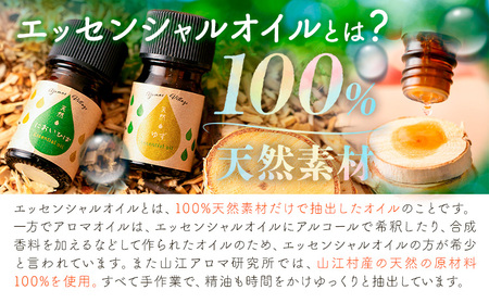 アロマ 山の香セット ゆず の香り 芳香ミスト 50ml エッセンシャルオイル 5ml 山江アロマ研究所《30日以内に出荷予定(土日祝除く)》熊本県 球磨郡 山江村 送料無料 柚子 山江村産 100%