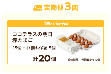 【3ヵ月定期便】ココテラスの明日（赤たまご）15個 + 5個保証（計20個）【JGAP認証】 農家直送 新鮮 卵 タマゴ 赤卵 玉子 鶏卵 朝食 夕食 夜食 朝ごはん たまご焼き オムレツ 卵ご飯 料
