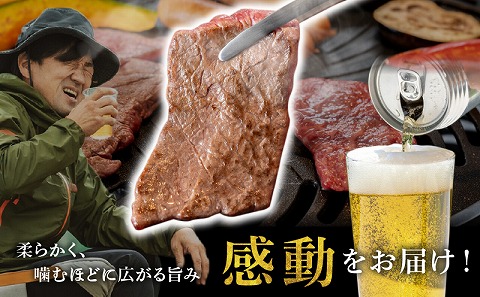 宮崎牛赤身焼肉1kg