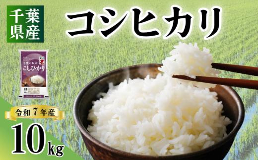 令和7年産 米 コシヒカリ 10kg お米 こしひかり コメ ご飯 千葉県産 ライス ブランド米 精米 白米 風味 甘み お米 美味しいごはん おにぎり 直送 家庭用 お試しサイズ 送料無料 ギフト 贈答用 人気 おすすめ こだわり 人気米 千葉米 ふっくら 甘い つややか 朝食 昼食 夕食 お取り寄せ お裾分け ふるさと納税 ふるさと納税お米 ふるさと納税米 千葉県 銚子市 総武米穀卸