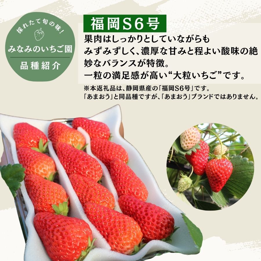 【先行予約＿2027年出荷分】 完熟いちご280g 福岡S6号 4パック（DXパック）【 福岡S6号 いちご 苺 イチゴ 果物 フルーツ くだもの 旬 伊豆 静岡県 期間限定】　