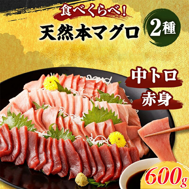 【コロナ緊急支援品】厳選天然本マグロ 中トロ・赤身 食べ比べセット 合計約600g (中トロ約200g・赤身約400g) ふるさと納税限定 魚 惣菜 まぐろ 刺身 お刺し身 鮪 魚介 ちらし寿司 高知県 手巻き寿司 訳あり 海鮮丼 漬け丼 冷凍 送料無料