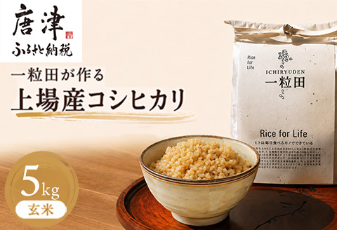 【令和6年産新米】唐津産 あいがも米 5kg (玄米) 一粒田 合鴨農法 無農薬 無化学肥料 コメ お米 ごはん