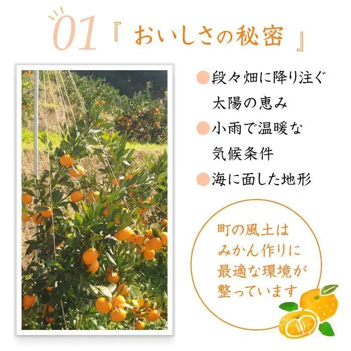 極早生みかん 約5kg 小粒SS・Sサイズおまかせ 《赤秀》 和歌山県産 農園直送 まごころ産直みかん 【10月中旬より発送開始】【北海道・沖縄県・一部離島 配送不可】小玉 贈答 ［Mg16］