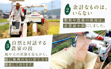 【5回定期便】令和7年産 福岡県産米 夢つくし5kg（5kg×1袋） 広川町 / たなか農産[AFCJ005]