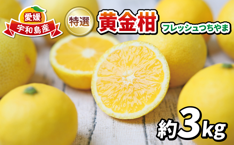 高級柑橘 黄金柑 5kg 先行予約 フレッシュつちやま 幻のみかん 希少 おうごんかん 贈答品 贈答用 ギフト プレゼント 高級 果物 フルーツ 柑橘 みかん 蜜柑 愛媛ミカン 愛媛蜜柑 愛媛みかん 農家直送 産地直送 数量限定 国産 愛媛 宇和島 B015-096006