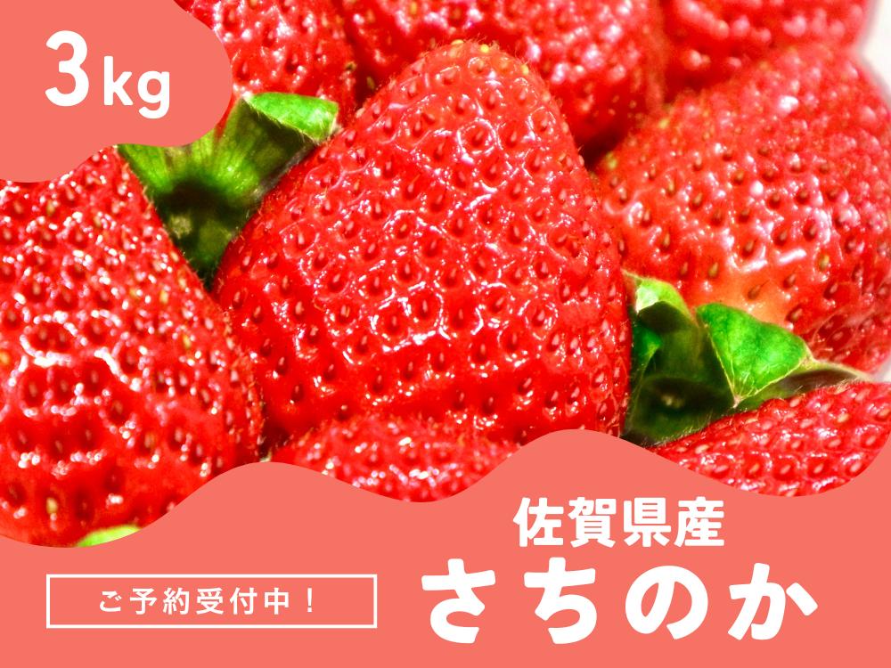 
            ＜先行予約受付中・令和8年2月上旬以降順次発送＞濃厚苺 さちのか 3kg［A13727-04］
          