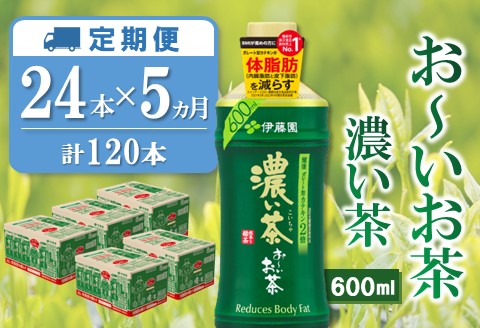 【5か月定期便】おーいお茶濃い茶 600ml×24本(合計5ケース)【伊藤園 お茶 緑茶 濃い 渋み まとめ買い 箱買い ケース買い カテキン 2倍 体脂肪】D2-A071373