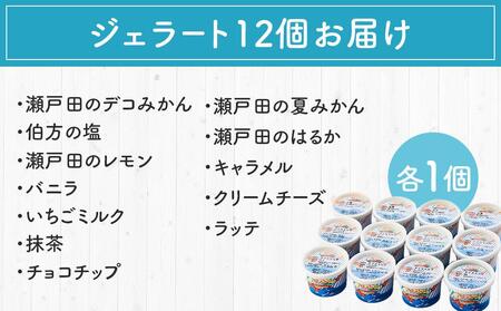★しまなみ・瀬戸田の素材がたっぷり！ジェラート12個【カップアイス いちご いちごみるく レモン シャーベット バニラ 抹茶 キャラメル みかん 桃 バナナ イチジク 広島 尾道 ｱｲｽ ｱｲｽ ｱｲ
