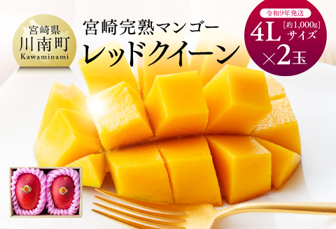 【令和7年発送】宮崎県産完熟マンゴー 「レッドクイーン」4L×2玉 【 果物 フルーツ マンゴー 宮崎県産 完熟マンゴー みやざきマンゴー 先行予約 数量限定 期間限定 】[D03211]