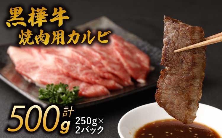 九州産黒毛和牛 杉本本店 黒樺牛 A4〜A5等級 焼肉用カルビ 250g×2 計500g