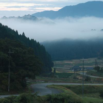 ふるさと納税 朝来市 【毎月定期便】栽培期間中農薬を減らしお作りした　三波農地を守る会のコシヒカリ10kg　白米・全6回 |  | 01