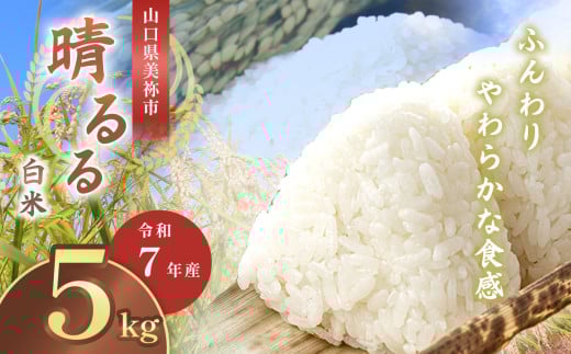 令和7年度産 新米 晴るる 白米 5kg 先行予約 ＜ 2025年11月～より順次発送予定 ＞ ｜ 米 精米 新米 白米 米 雑穀 お米 コメ 単一米 晴るる はるる  山口 美祢 秋吉台 5kg