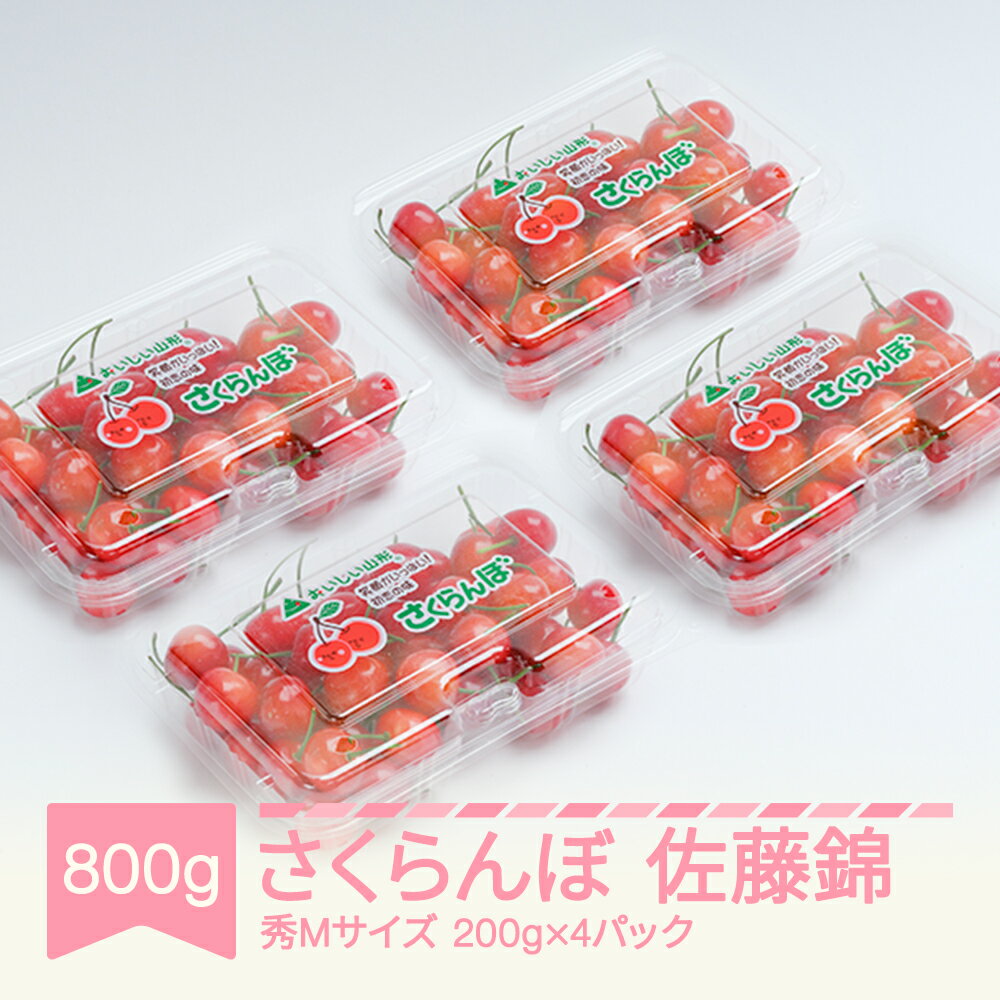 先行予約 さくらんぼ 佐藤錦 秀Mサイズ 800g (200gx4パック) フードパック 2025年産 令和7年産 山形県産 送料無料 サクランボ