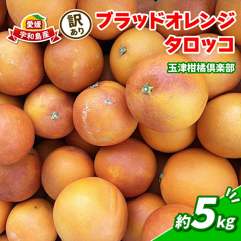 【ふるさと納税】 訳あり ブラッドオレンジ タロッコ 約5kg 玉津柑橘倶楽部 先行予約 サイズ 不揃い オレンジ 果実 果物 くだもの フルーツ 柑橘 愛媛蜜柑 愛媛みかん mikan 訳アリ わけあり 訳あり品 産地直送 数量限定 国産 愛媛 宇和島 B010-072047