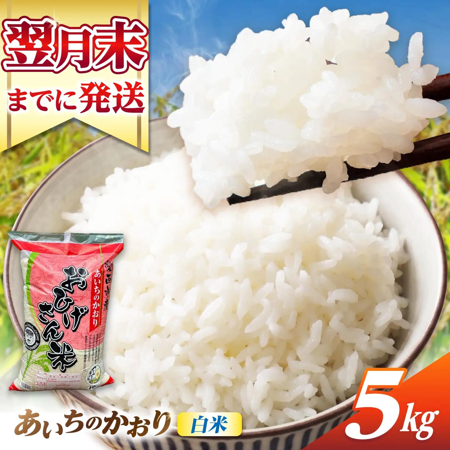 あいちのかおり 白米 5kg / 脇野コンバイン[AECP001-8]