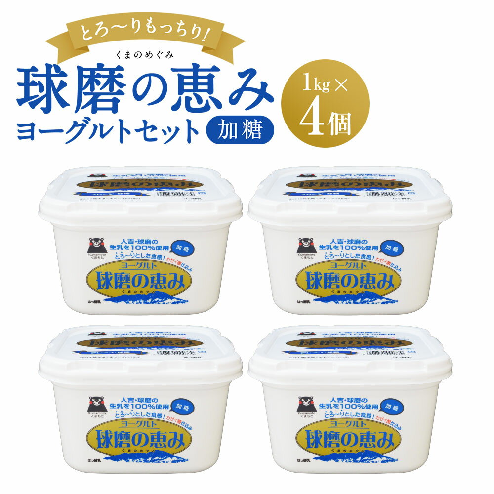 【ふるさと納税】球磨の恵みヨーグルトセット 送料無料 ヨーグルト 乳製品 乳酸菌 健康 免疫力 加糖1kg×4個