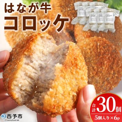 ふるさと納税 西予市 &lt;はなが牛コロッケ 計30個&gt; オリジナル おつまみ お肉 牛肉 はなが牛 国産 ころっけ