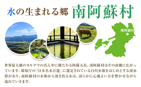 熊本県 南阿蘇村 日本旅行 地域限定旅行クーポン 15,000円《寄付翌月末を目途に付与いたします》