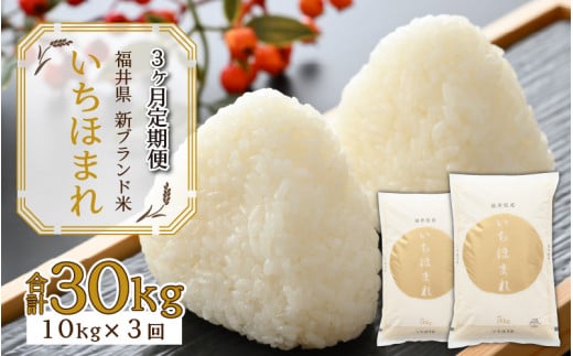 【3ヶ月連続定期便】令和7年産 福井県の新しいブランド米 いちほまれ5kg ×2袋（10kg × 3ヶ月） [K-015033]