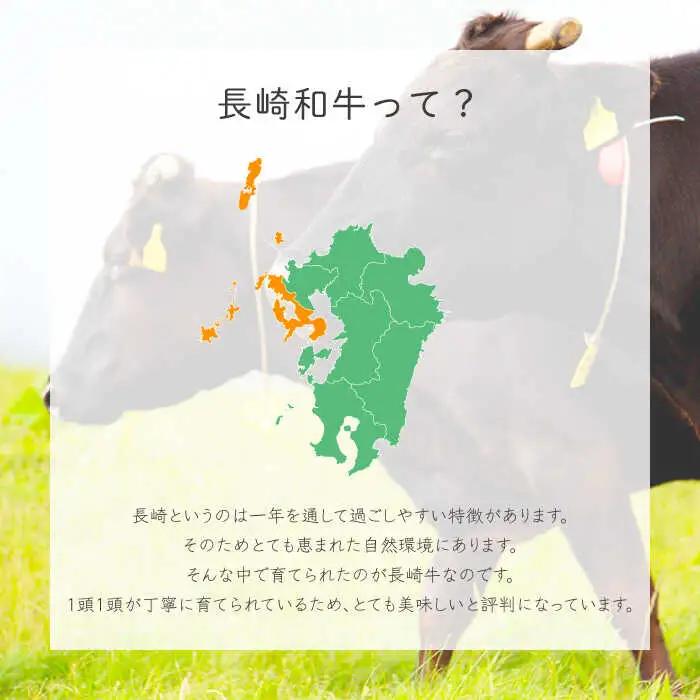 牛肉 長崎和牛 リブローススライス 約500g[OAA004] 牛肉スライス