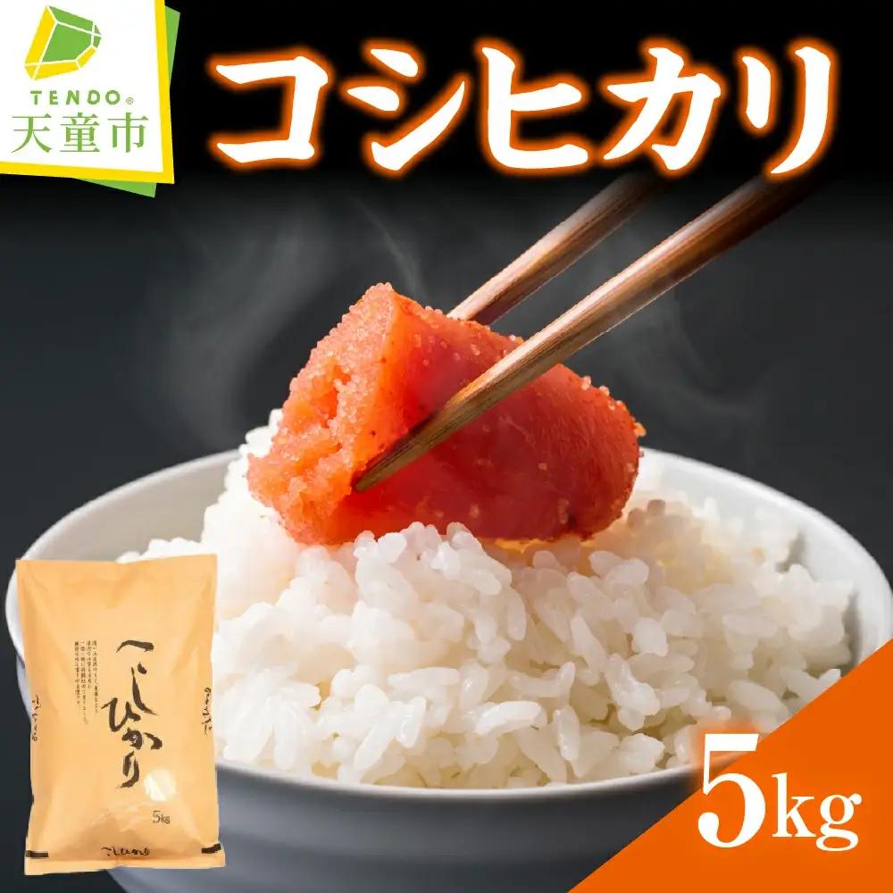 コシヒカリ 5kg [ 令和8年産 ] 米 精米 山形