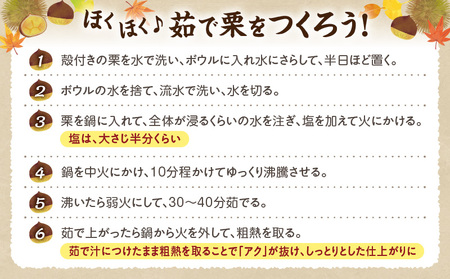 高千穂・ひのかげくり（9月限定）_Tk004-068